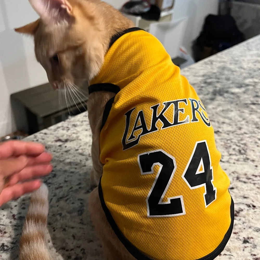Cat Clothing